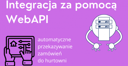Integracja poprzez Web API - większe możliwości